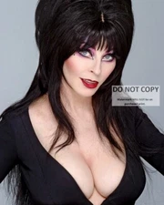 ELVIRA, MISTRESS OF THE DARK - 8X10 PUBLICITY PHOTO (RT439)