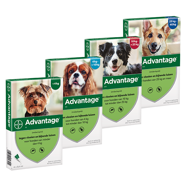 Bayer x pack Advantage 400 large dog 25 kg 40 kg 55 lb-88 lb