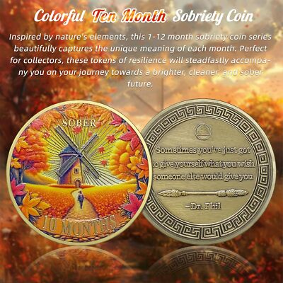 10 Month Sobriety Coins AA Chip Recovery Medallion Sobriety Gifts