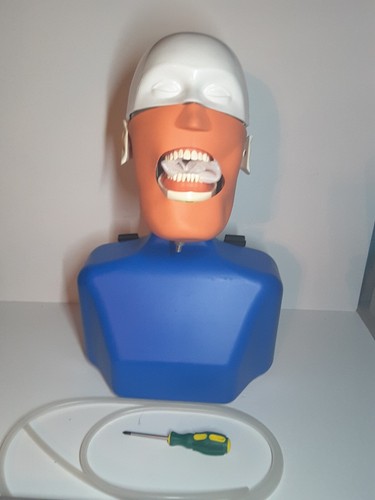 Dental Chair Manikin Phantom Head Simulation Training Head Dentistry Student - Picture 2 of 12