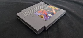 Rygar, Nes, Boxed 