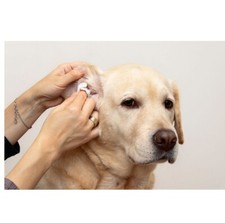 Dog and Puppy Health Grooming Fresh Foaming Gentle Ear Cleaner Aloe Vera Coconut