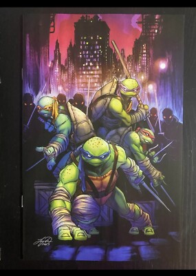 Teenage Mutant Ninja Turtles #148 Virgin Variant 2024 IDW Comic Book