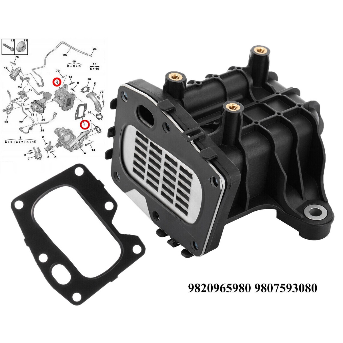 EGR Cooler & Housing For Citroen Peugeot Ford 2.0 Diesel 