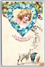 1908 Easter Greetings Postcard Angel Forget-Me-Nots Sheep Woodbury CT  C397
