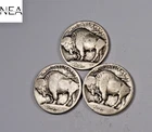 1913+1913-D+1913-S Buffalo Nickel Set/Lot ~ Type 1 ~ ZBL72
