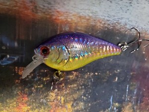 Premium Custom Crankbait Holographic 2.5 Colorshift Bleeding Out Smallmouth Bass Premium Custom Crankbait Holographic 2.5 Colorshift Bleeding Out Smallmouth Bass