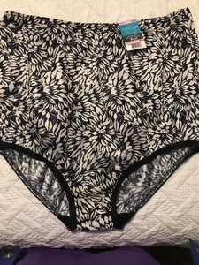 vanity fair nylon briefs 16345