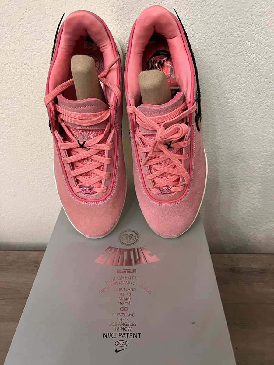 Size 11 - Nike LeBron 20 South Beast 2022 | eBay