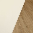 Bild 13 von 19