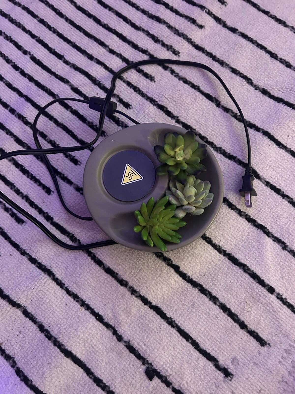 Scentsy Little Garden Electric Wax Warmer New In Box