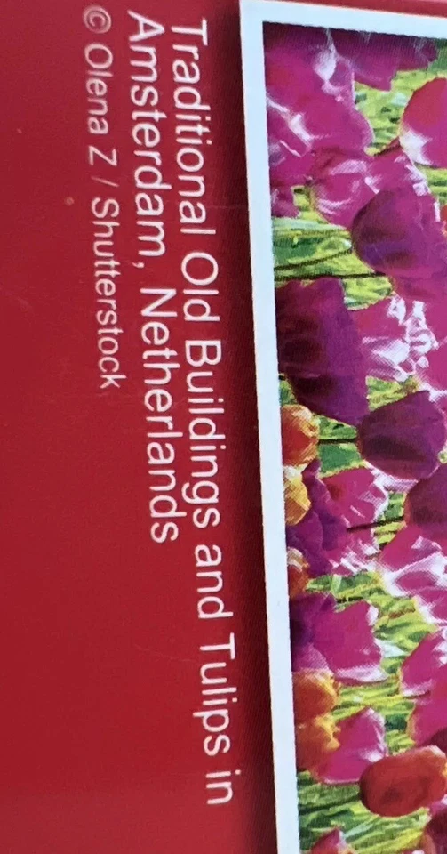 Puzzle Bug, Traditional Old Buildings and Tulips in Amsterdam, Puzzle, 500 Pcs - Image 3 of 3