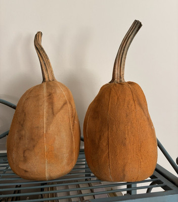 2 Primitive Style Pumpkins with Dried Pumpkin Stems