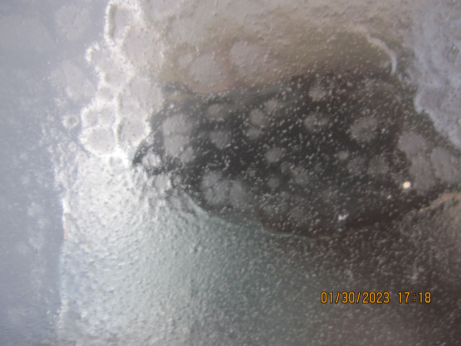 Picture 6 of 7