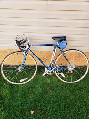 Vintage Bridgestone Road Bike Hotsell 
