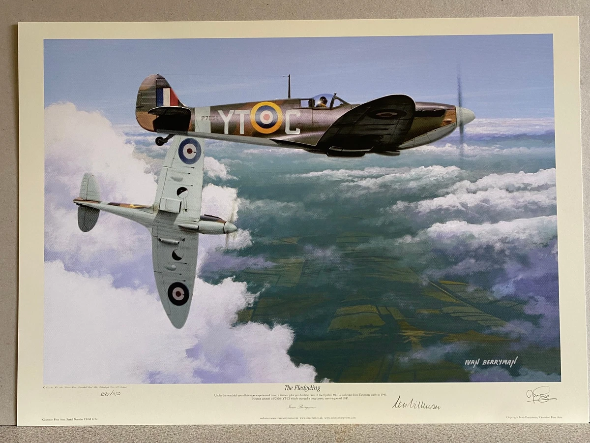SPITFIRE 看板 ヴィンテージ 当時物 スピットファイア　レア spitfire / スピットファイア 旧タグ ビンテージ 90-00年代 - メルカリ