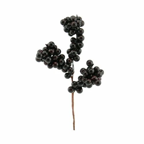 Fleurs artificielles et séchées de décoration intérieure de la maison noirs en plastique