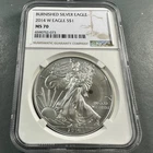 2014-W Burnished Silver Eagle NGC MS70 (89721)