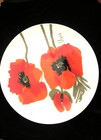 Vera POPPIES for Mikasa $10 EACH 12.5" diameter 4 Available! — photo 2