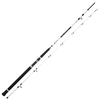 Spro Salty Beast Nano Heavy Jig Spin 270cm 250g - Meeresrute, Spinnrute, Rute  
