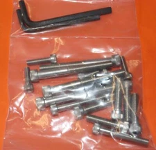 TRIUMPH T20 TIGER CUB SIDE POINTS MODELS ENGINE BSF ALLEN SCREW SET STAINLESS