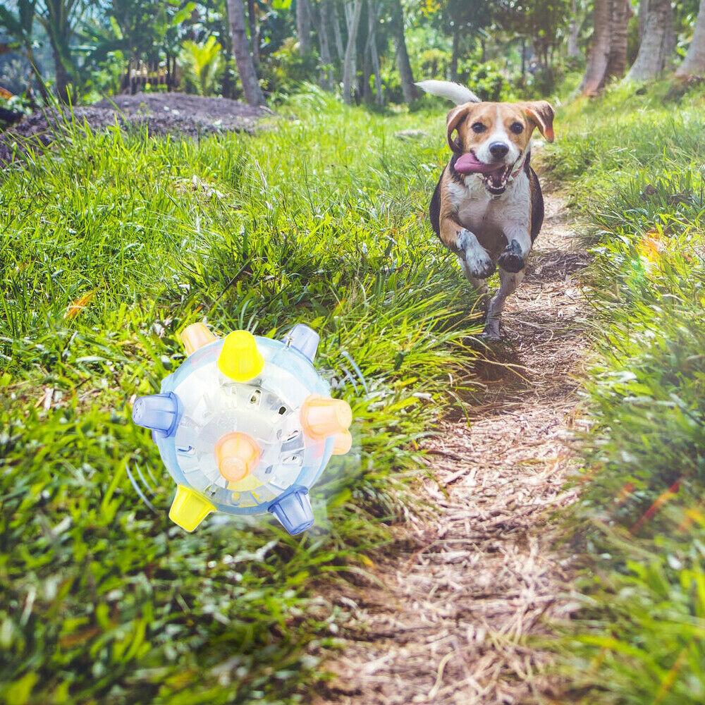 Jumping Vibrating Dog Toys LED Flashing Ball Interactive Toy Pet