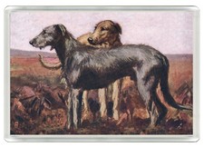 IRISH WOLFHOUND DOG FRIDGE MAGNET GREAT GIFT