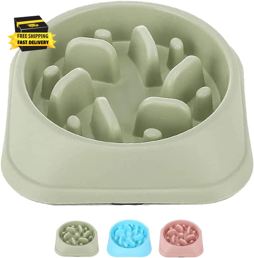 Bowls For Medium Small Dogs & Puppies To Slow