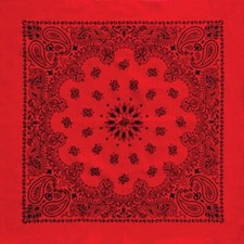 Austin Red/Black Paisley 27x27 Bandanna