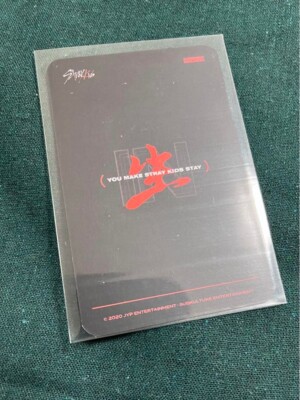 Stray Kids Lee Know IN LIFE subk Limited Official Trading Photo Stray Kids Lee Know IN LIFE subk Limited Official Trading Photo