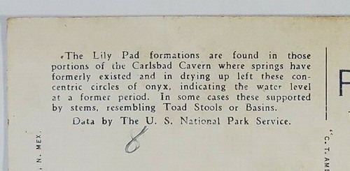 Lily Ponds Big Room Carlsbad Cavern, New Mexico - Unposted Postcard - NEW MEXICO - Picture 10 of 12