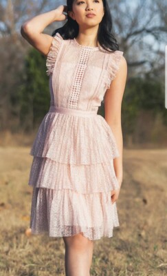 Heartloom Lace Dress Dusty Pink Peplum Ruffle Layered Fit Flare SZ M