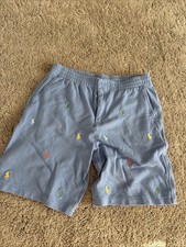 Polo Ralph Lauren Boys Shorts Light Blue Size Large 14/16