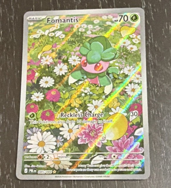 Fomantis #85 (Pitch Black)