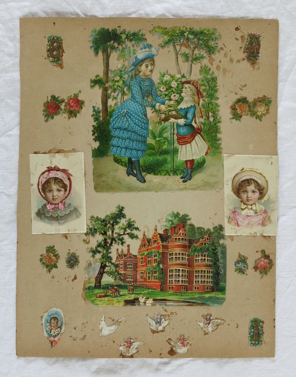 Lot De 5 Chromos Anciens - Animaux De La Jungle - 12 Cm - Gaufrés Victorian Scrap