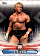 2019 Topps WWE Wrestling Legends of Raw #LR-12 Sycho Sid