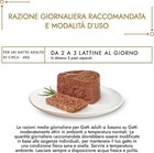 Foto 6 di 6