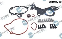 Dr.Motor Automotive DRM0210 Reparatursatz, Unterdruckpumpe (Bremsanlage) FüR VW