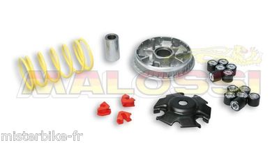 Variateur MALOSSI Pour MBK THUNDER / SKYLINER 125 150 4T LC - Pièce Performance Neuve