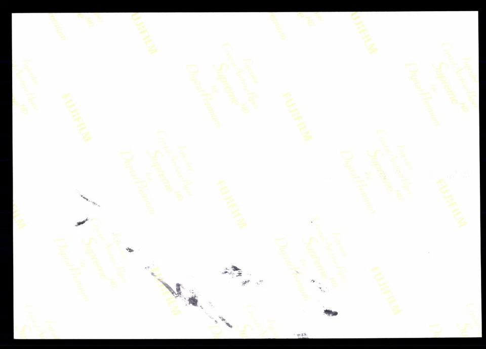 Niki Lauda 1949-2019 3x Formel 1 Weltmeister Original Signiert #BC G 43596 - Bild 2 von 2