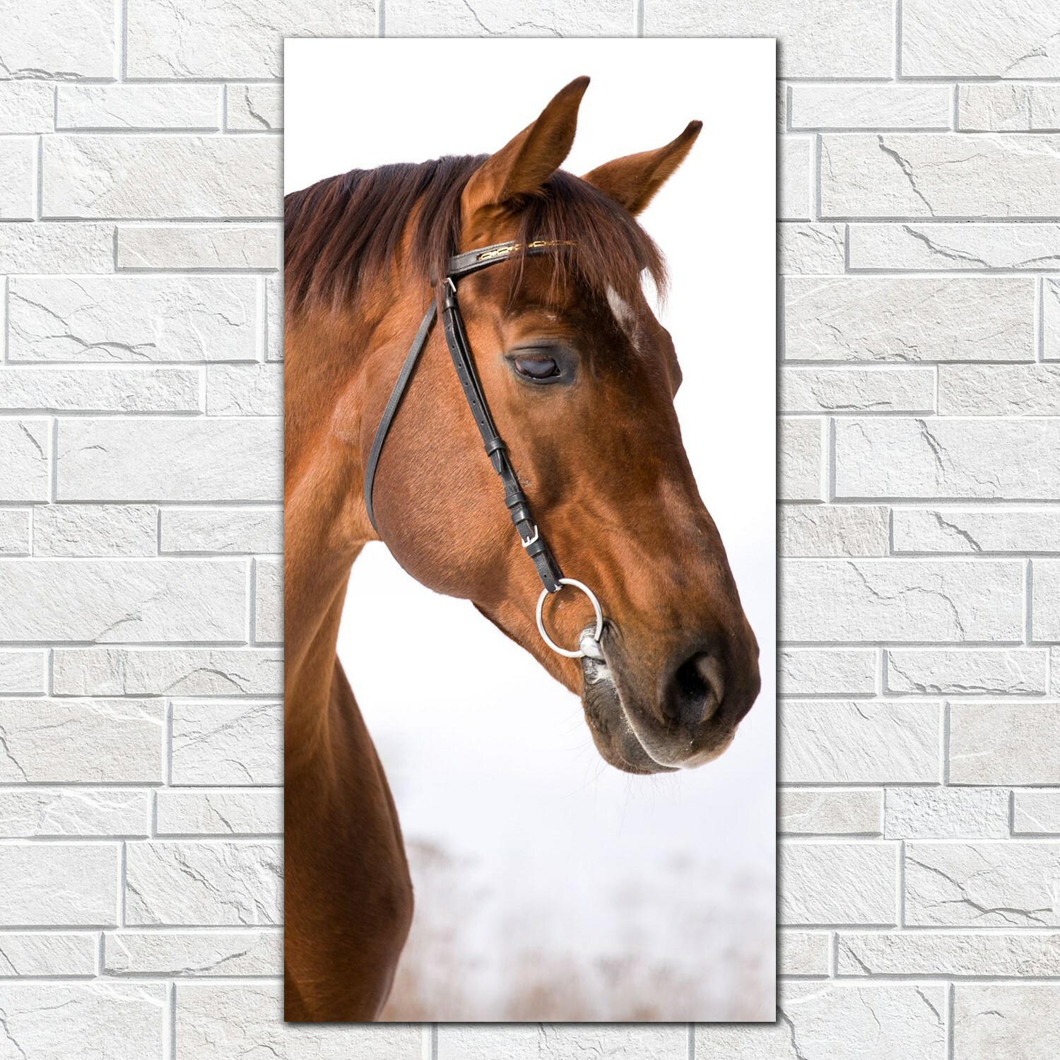 Cuadros de vidrio mural retrato de castaño caballo animal desierto 50x100