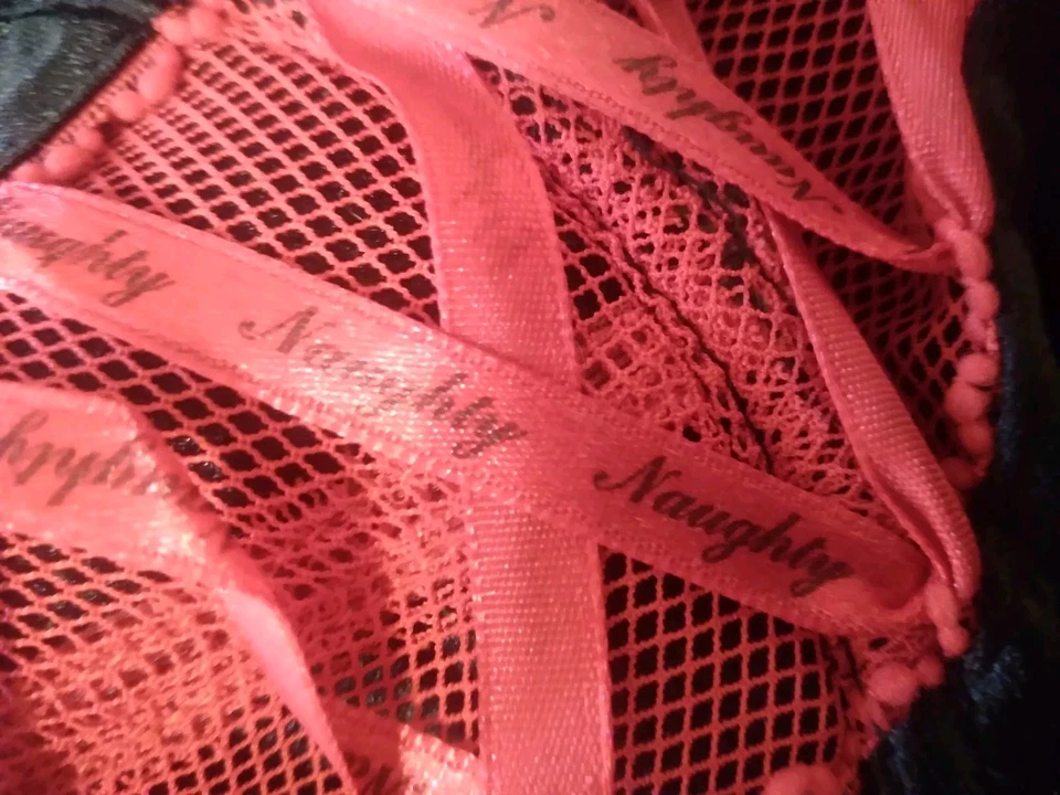 Native Intimates 36B Bustier Red Black Mesh Nylon "Naughty" Sexy Lingerie - Image 2 of 4