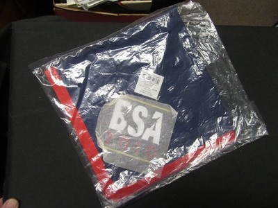 BSA 2010 100th Anniversary Neckerchief     rt4