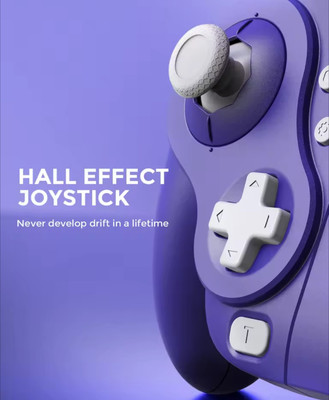 Gamecube Joy Pad Controller Nintendo Switch Lite OLED by NYXI