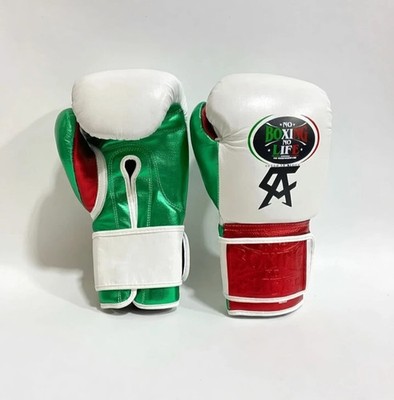 No Boxing No Life Boxing Gloves Pro Training Sparring winning