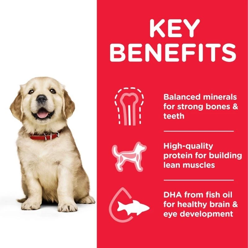 Hills Science Plan Puppy 1 Large Breed Dry Dog Food Chicken 2.5kg