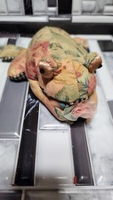 Russ Berrie FLORRIE FROG, 8" long,