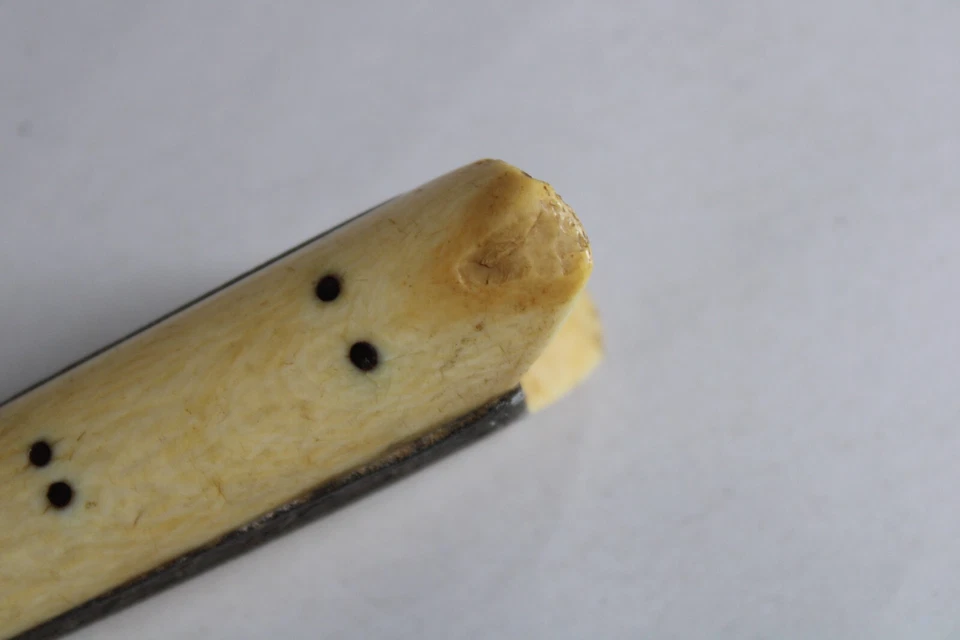 Ancien couteau crétois Grèce acier gravé 1899 feuillage manche os étui cuir vert - Photo 4/4