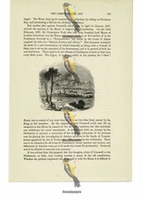 Oxford, England, c1650, Book Illustration (Print), c1870