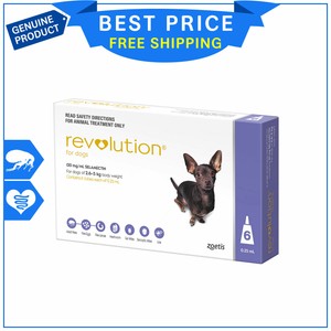 revolution for small dogs